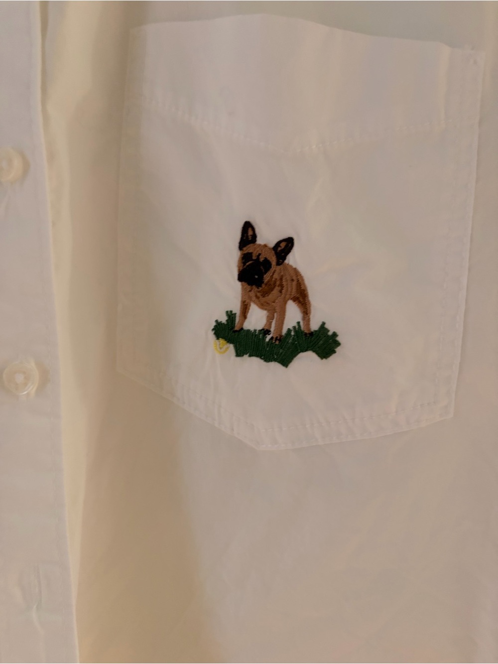 Anthropologie The Shrunken Bennet Buttondown Shirt by Maeve - Picture 5 of 6